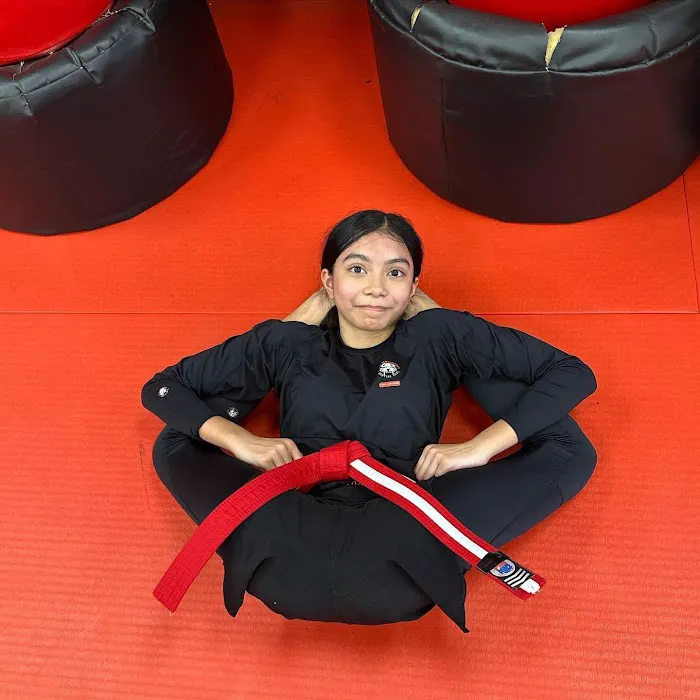 Tiger Schulmann's Martial Arts (Nanuet, NY) Picture 8
