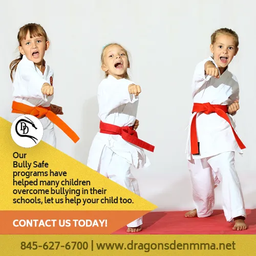 Dragon's Den Mixed Martial Arts Picture 3