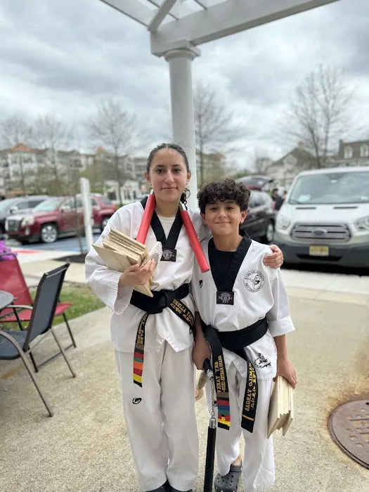 Sky Taekwondo Picture 4