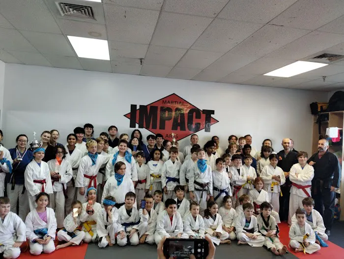 Impact Martial Arts Picture 5