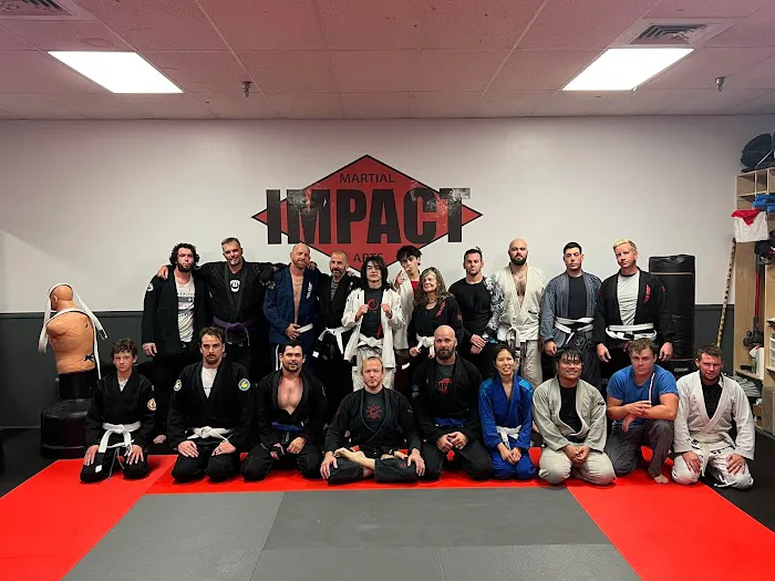 Impact Martial Arts Picture 3
