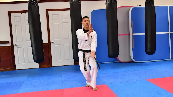 JSK Martial Arts Taekwondo Picture 7
