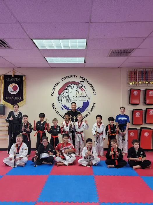 JSK Martial Arts Taekwondo Picture 10