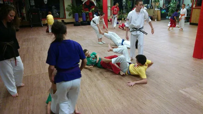 Oak Ridge Martial Arts Academy Picture 3