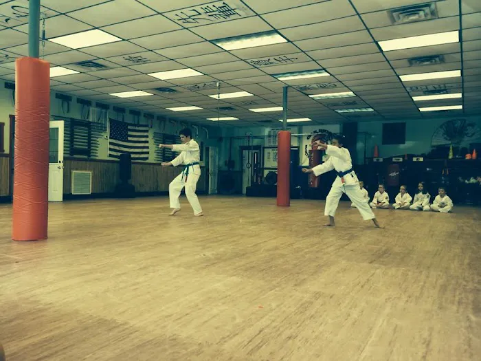 Oak Ridge Martial Arts Academy Picture 4