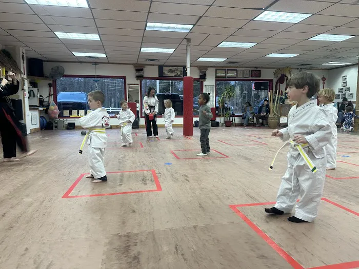 Oak Ridge Martial Arts Academy Picture 8