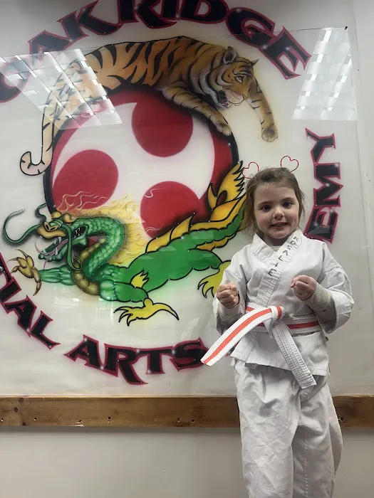 Oak Ridge Martial Arts Academy Picture 10