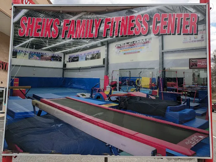 Sheiks Family Fitness Center Picture 5