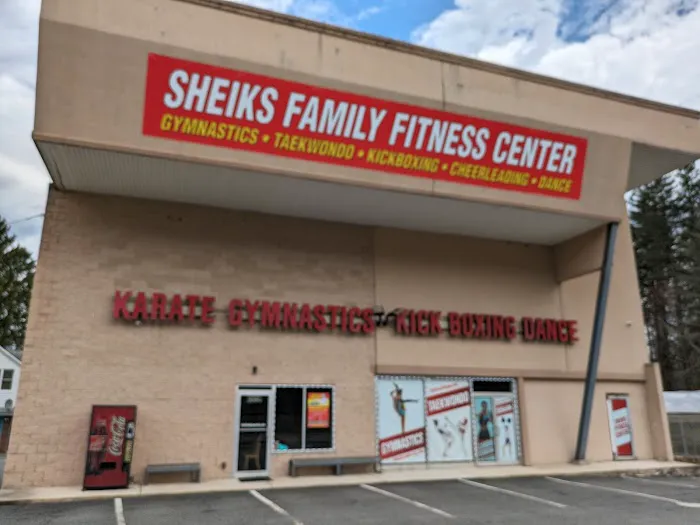 Sheiks Family Fitness Center Picture 6