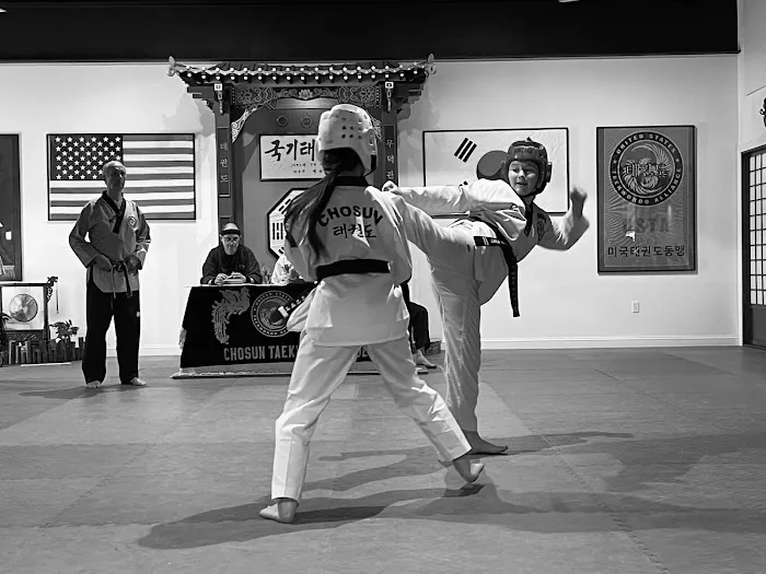 Chosun Taekwondo Academy Picture 2