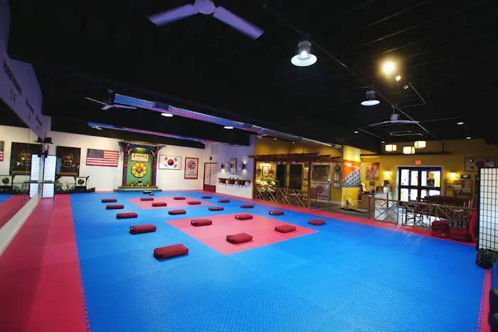 Chosun Taekwondo Academy Picture 7