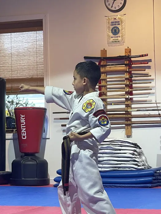 Chosun Taekwondo Academy Picture 5