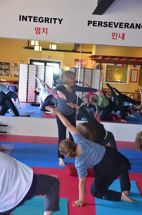 Chosun Taekwondo Academy Picture 3