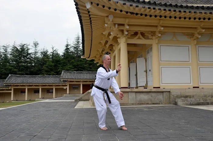 Chosun Taekwondo Academy Picture 8