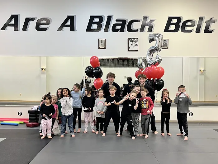 Rising Sun Karate Academy Picture 4