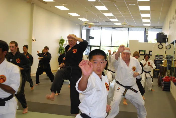 Rising Sun Karate Academy Picture 10