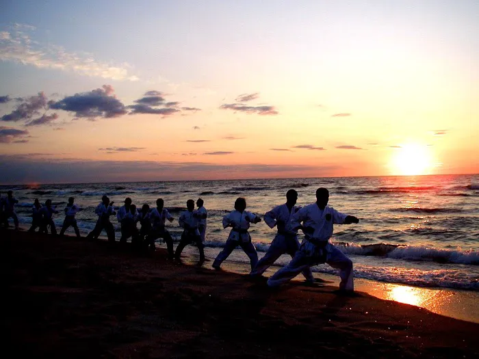 Rising Sun Karate Academy Picture 8