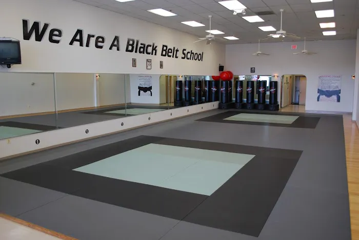 Rising Sun Karate Academy Picture 7