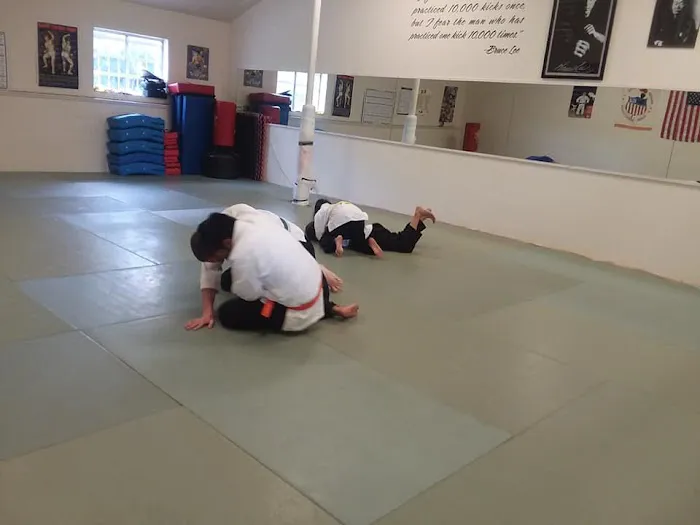 Tiger Paw Judo & Karate Dojo Picture 6