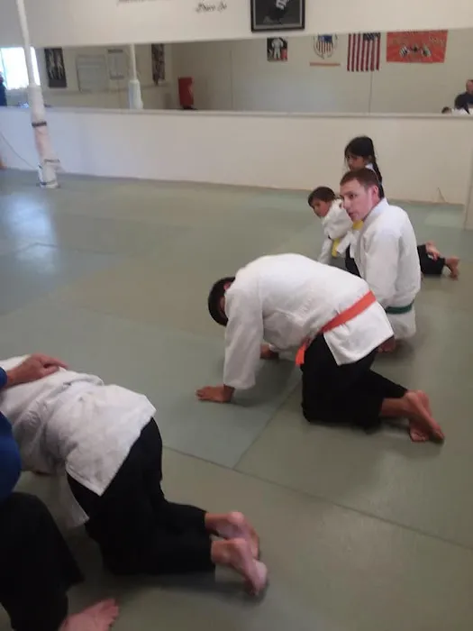 Tiger Paw Judo & Karate Dojo Picture 5