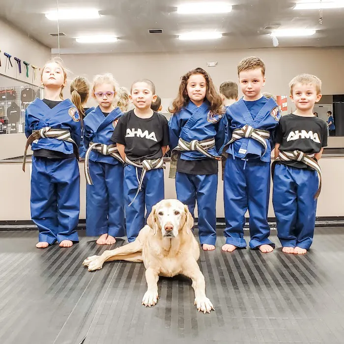 Art Hinkelbein Martial Arts Academy Picture 10