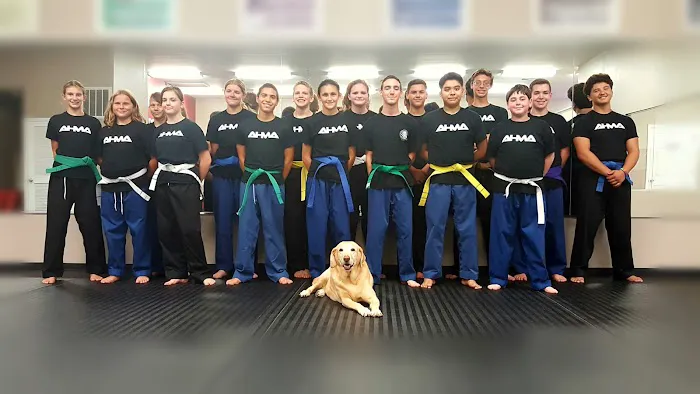 Art Hinkelbein Martial Arts Academy Picture 9