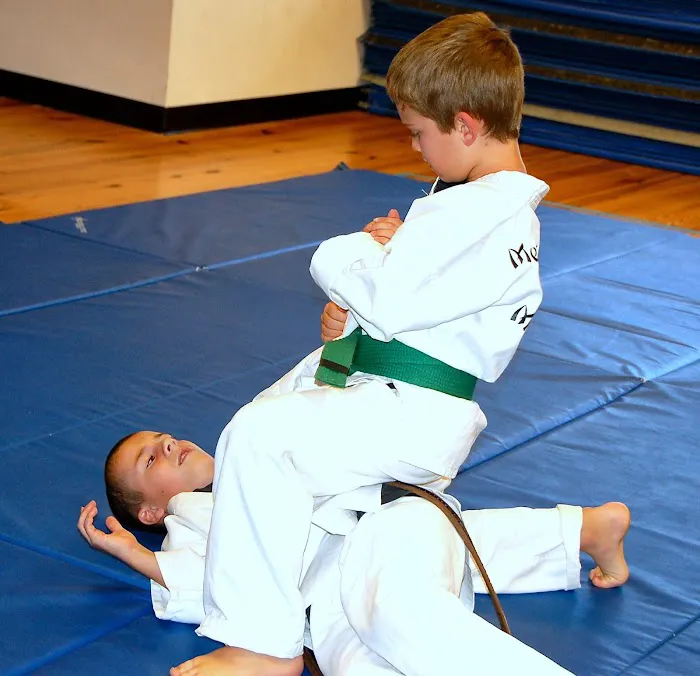 Mercer Academy of Martial Arts Picture 7