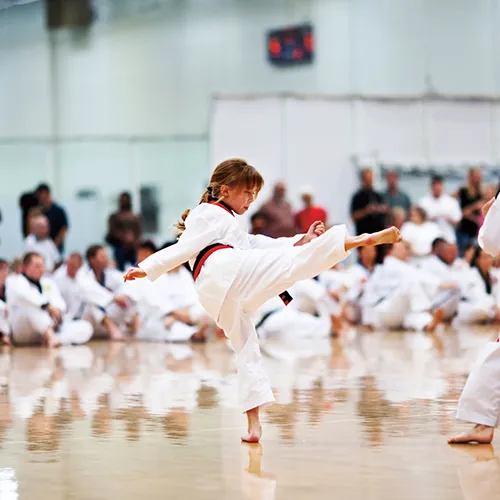 Mercer Academy of Martial Arts Picture 8