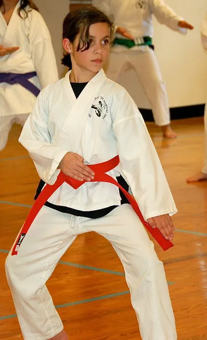 Mercer Academy of Martial Arts Picture 3