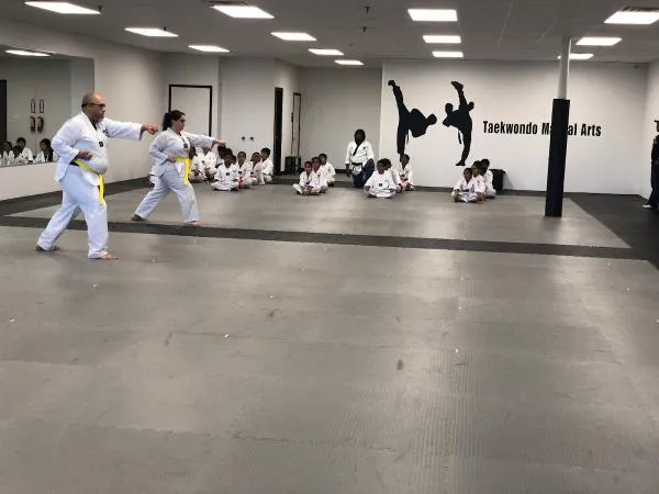 Mercer Academy of Martial Arts Picture 9