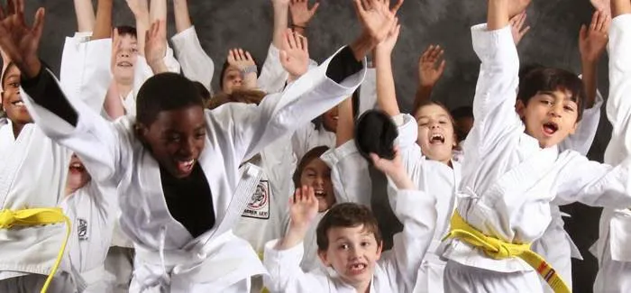 Southeast Asian Martial Arts Academy (SEAMAA) Picture 3