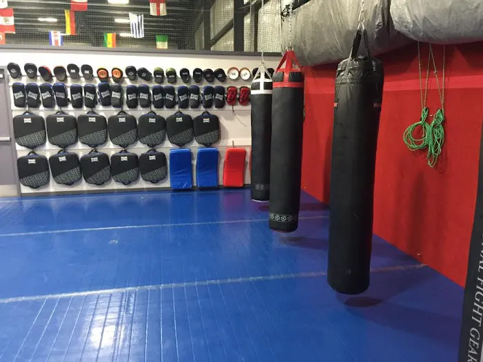 Southeast Asian Martial Arts Academy (SEAMAA) Picture 2