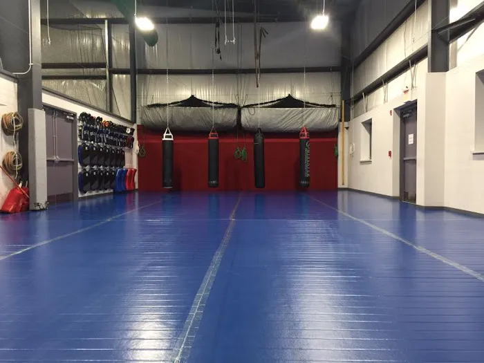 Southeast Asian Martial Arts Academy (SEAMAA) Picture 5