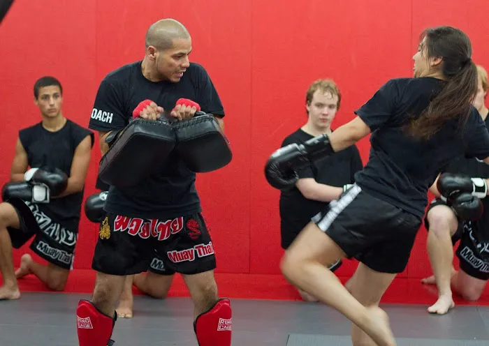 Southeast Asian Martial Arts Academy (SEAMAA) Picture 4