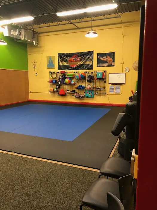 Princeton Academy Of Martial Arts Picture 5