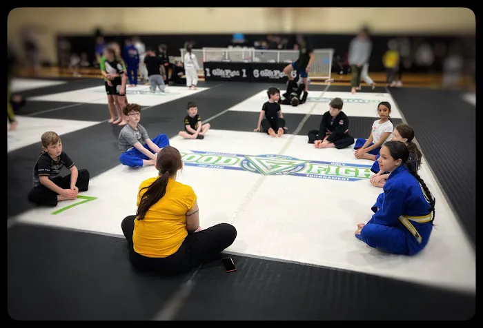 Budo Martial Arts Studio Picture 1
