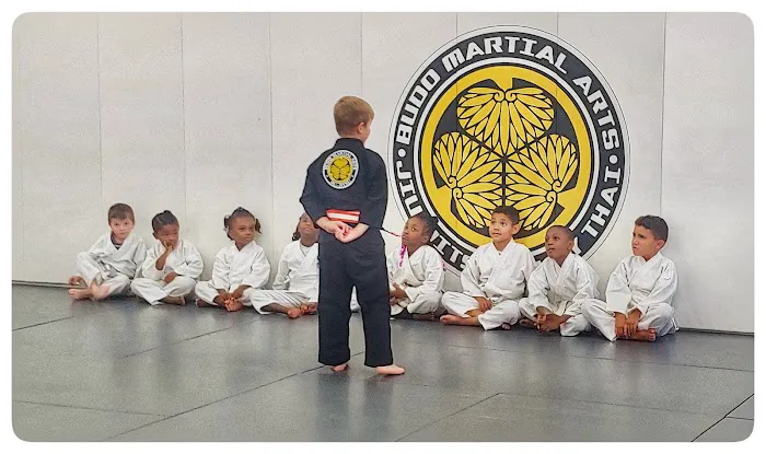 Budo Martial Arts Studio Picture 4