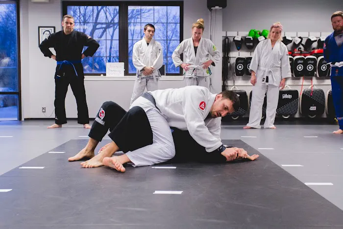 Budo Martial Arts Studio Picture 3