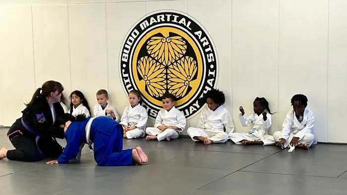 Budo Martial Arts Studio Picture 7
