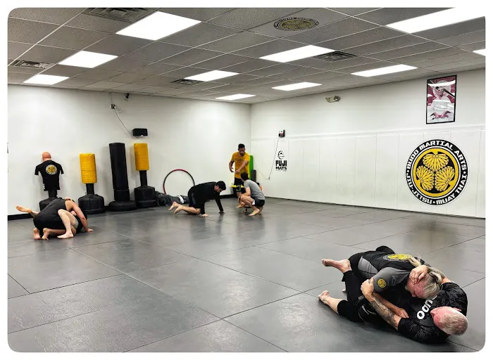 Budo Martial Arts Studio Picture 8