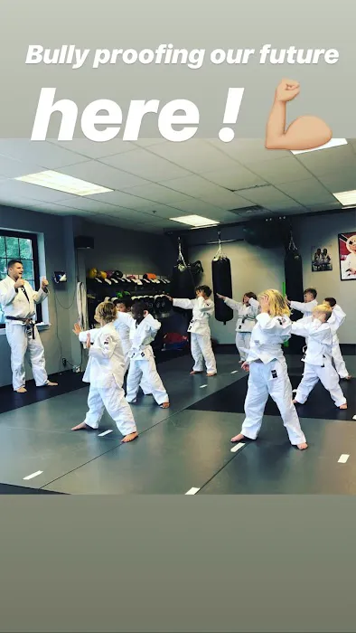 Budo Martial Arts Studio Picture 9