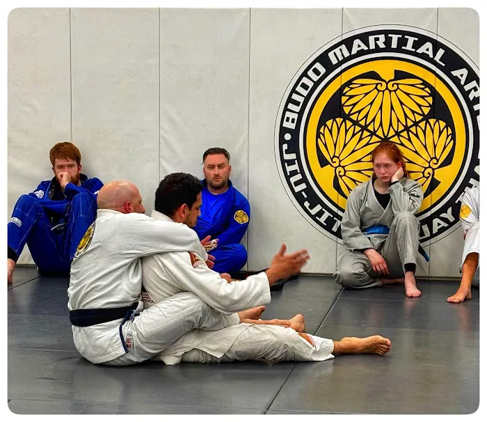 Budo Martial Arts Studio Picture 6