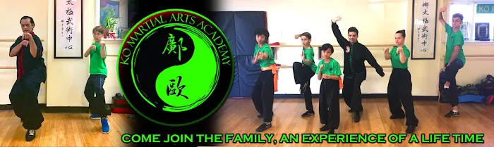 KO Martial Arts Academy Picture 2