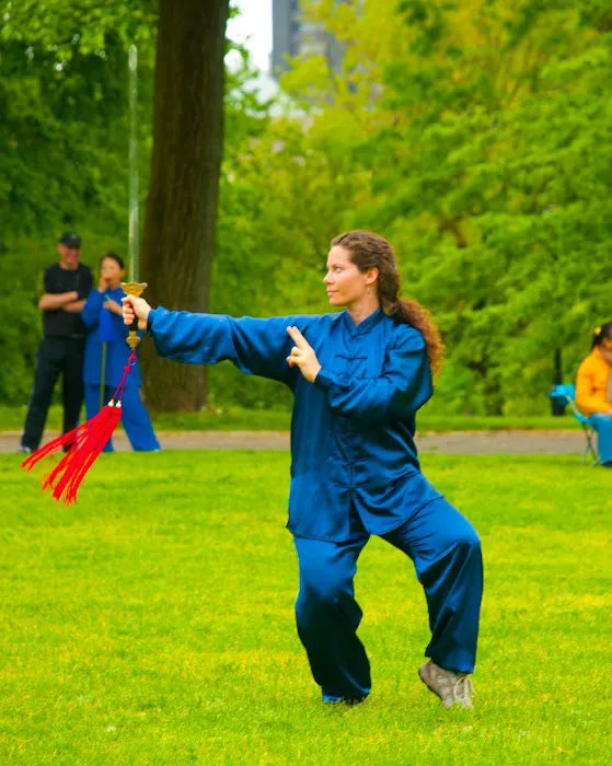 KO Martial Arts Academy Picture 4