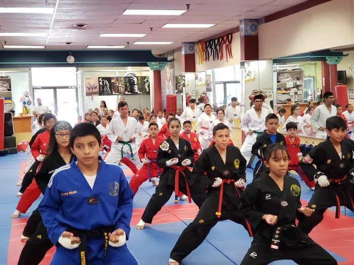B.M. Kim's Taekwondo at Port Chester Picture 5
