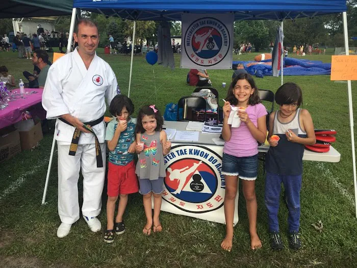 Westchester Tae Kwon Do Academy Picture 2