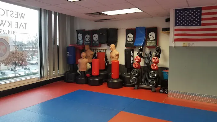 Westchester Tae Kwon Do Academy Picture 1