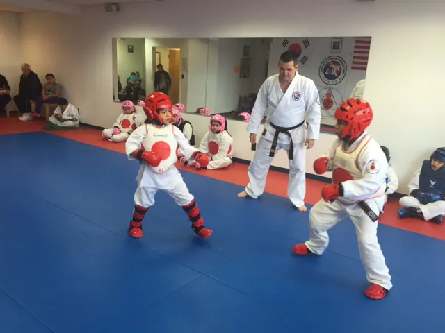 Westchester Tae Kwon Do Academy Picture 6