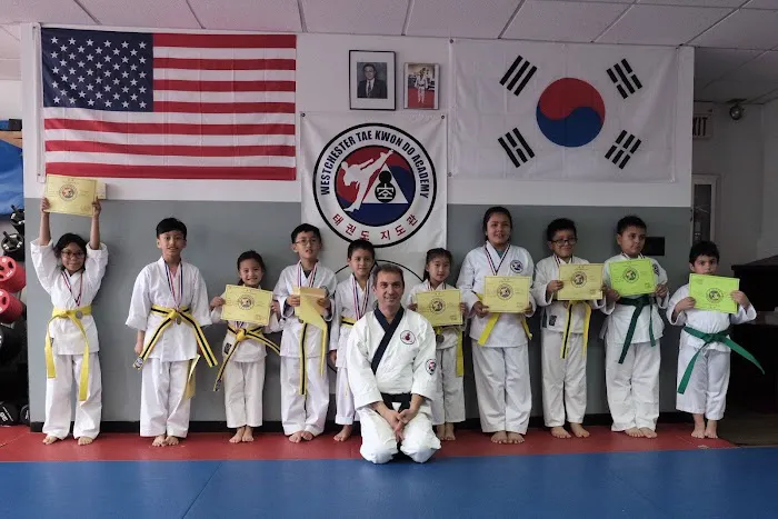 Westchester Tae Kwon Do Academy Picture 3