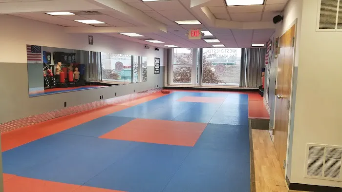 Westchester Tae Kwon Do Academy Picture 8